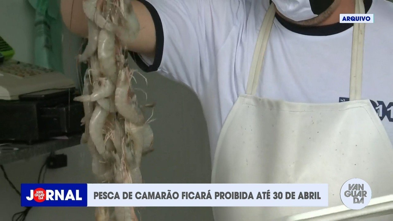 Período de defeso do camarão tem início nesta terça-feira (28) no litoral de SP; entenda