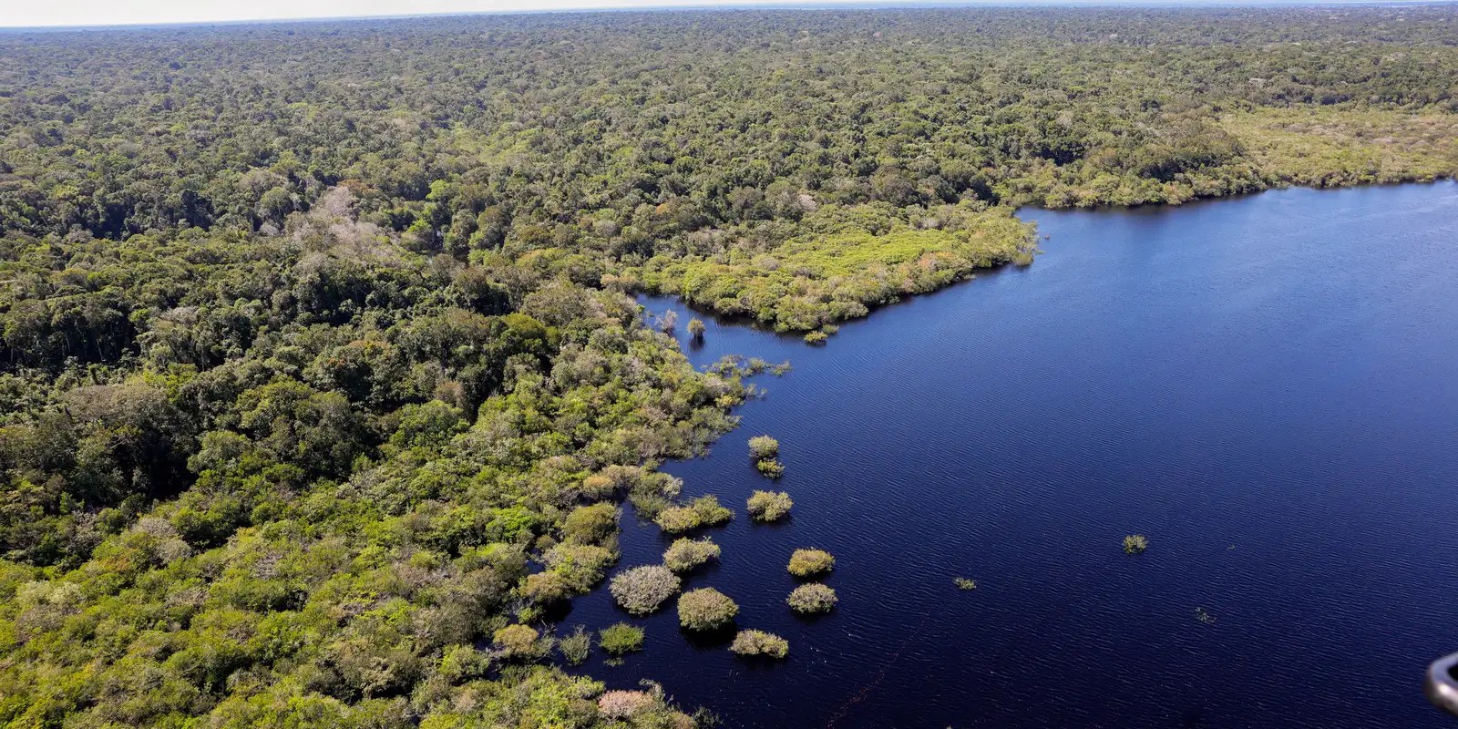 Amazônia e Cerrado registram queda de 11% no desmatamento